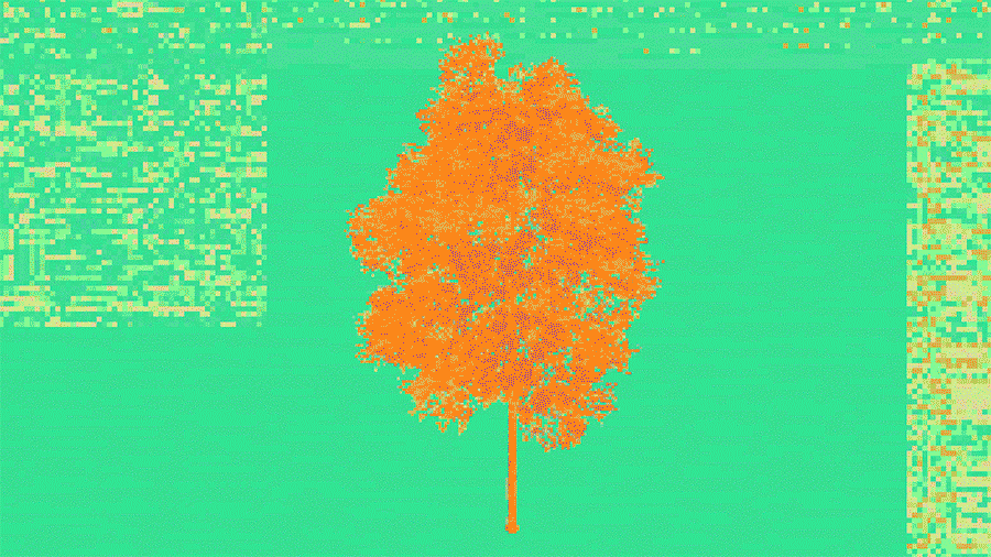 Animated GIF of The Bristol Whitebeam