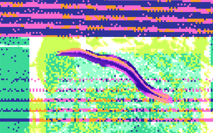 Animated GIF of a European Eel