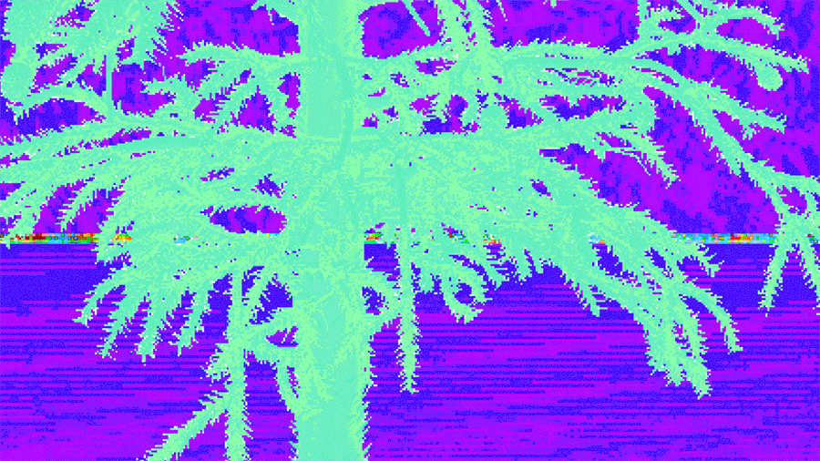 Animated GIF of a Monkey Puzzle Tree