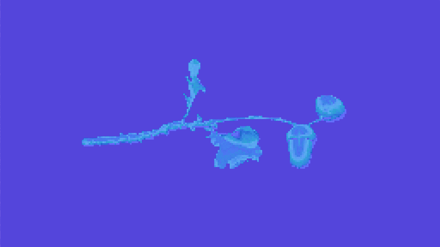 Animated GIF of the Pedunculate Oak