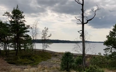 About <em>Treeline</em> thumbnail